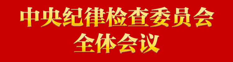 专栏:中央纪律检查委员会全体会议